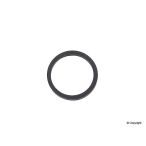 Fuel Injector O-Ring