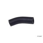 Engine Coolant Hose