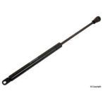 Hatch Lift Support