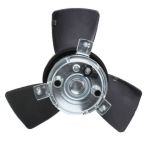 Radiator Fan