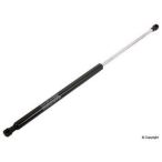 Hatch Lift Support