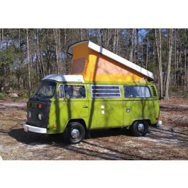 Poptop Tent Canvas - 74-79 Westfalia