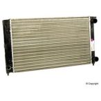 Radiator & Cooling System