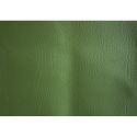Green Westfalia Vinyl